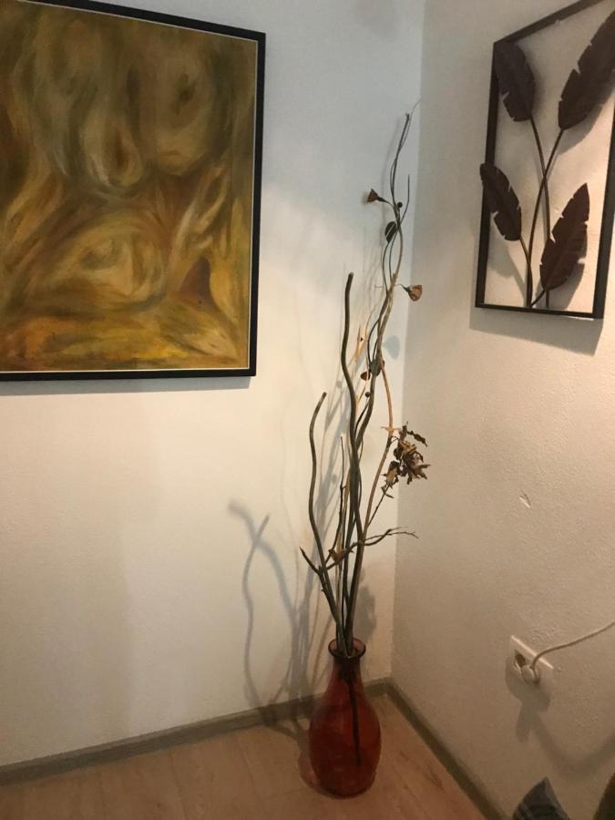 Apartment Old Town 波德戈里察 外观 照片